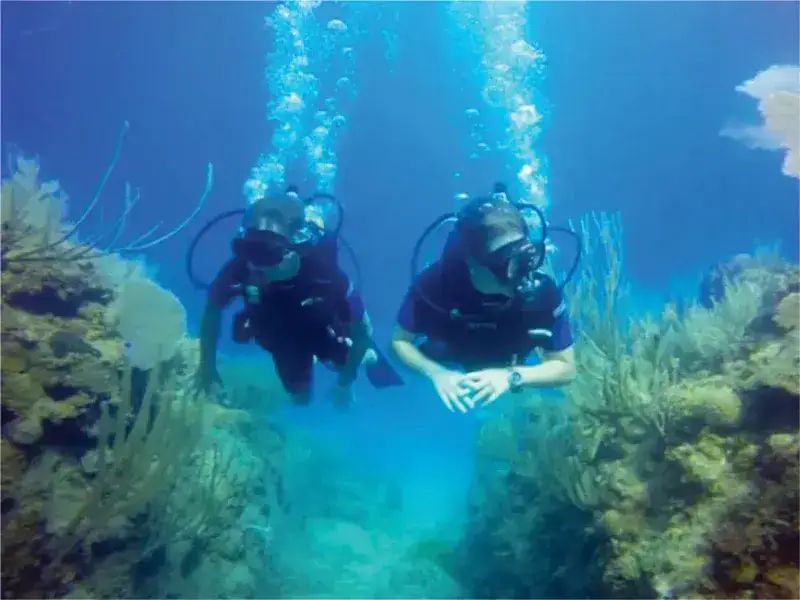 Jonathan Tours Reviews: What Travelers Say About Their Puerto Plata Experience